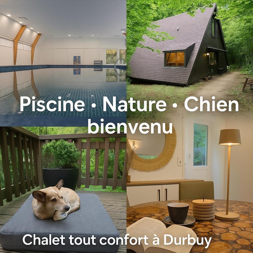 Chalet Sequoia 138 A Durbuy Εξωτερικό φωτογραφία